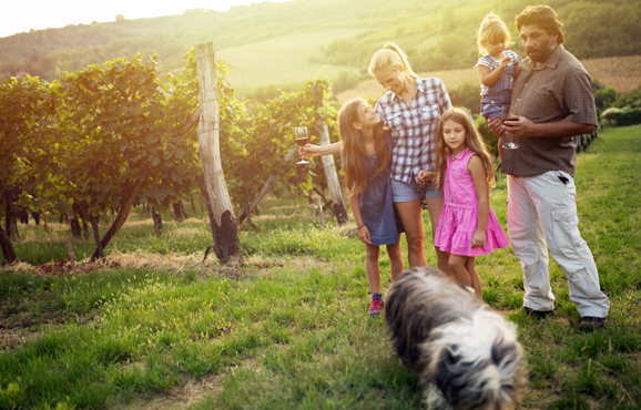 Wine Label Approvals Family Owned